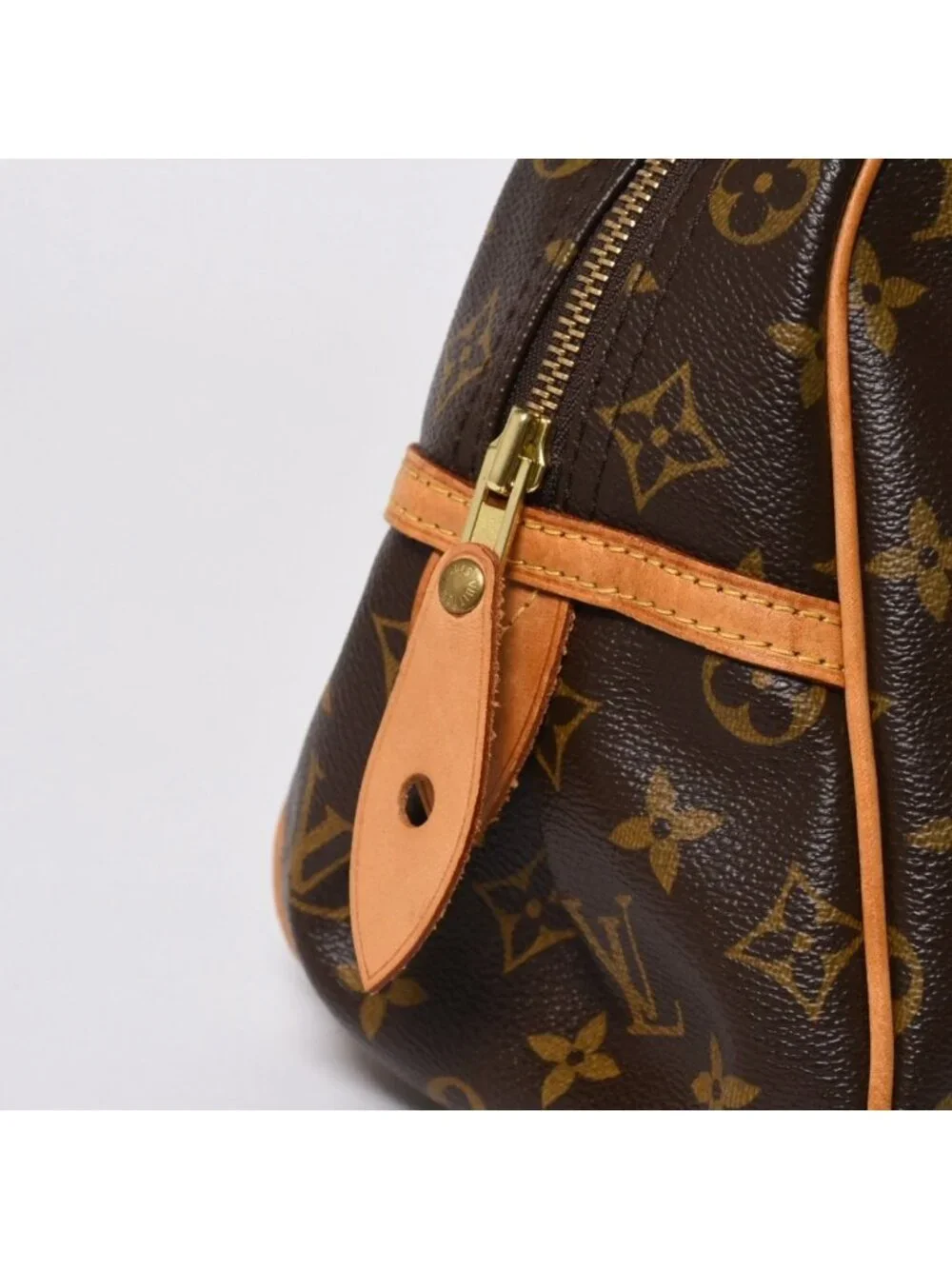 Louis Vuitton brand louis